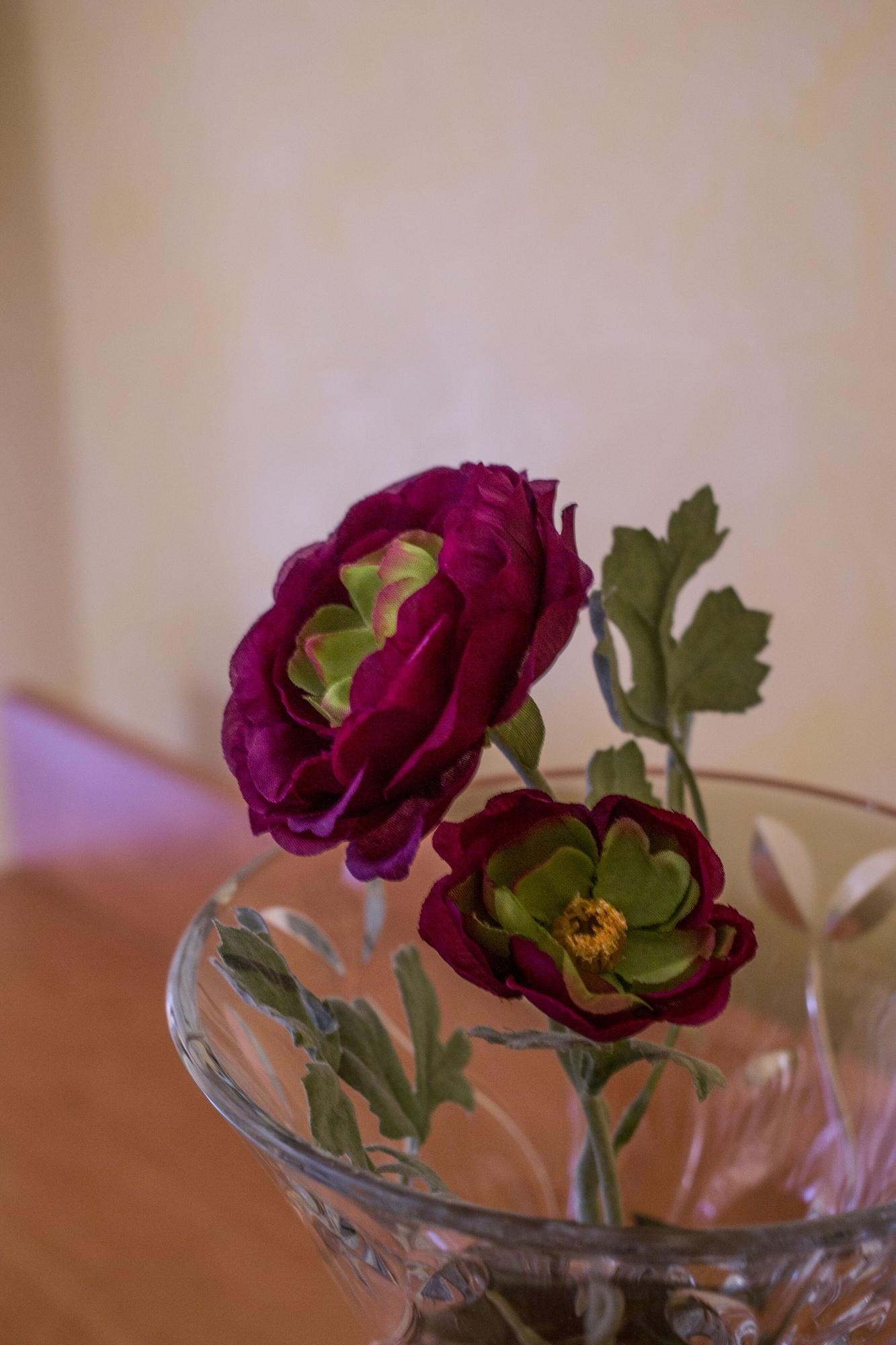 Hotel Angelica Florence Luaran gambar